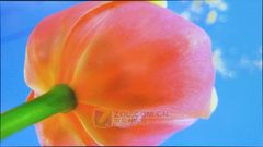 FULL HD!50xȫלy 