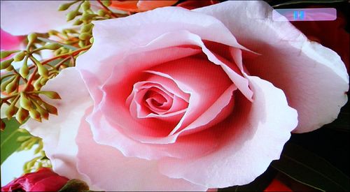 ӲPMP002DƬЧ