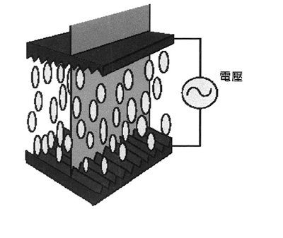 圖1. 通過施加電壓控制液晶體分子的垂直排列情況，光線可沿著分子穿過。