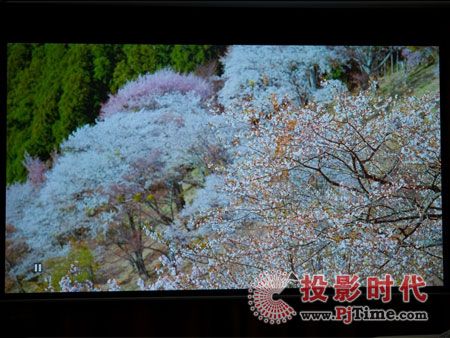 影院效果屏攝
