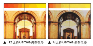DLPg