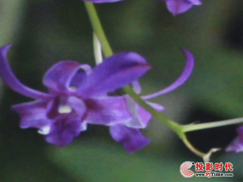 大巧不工 雅圖LX640商務(wù)教育投影機(jī)評(píng)測(cè)