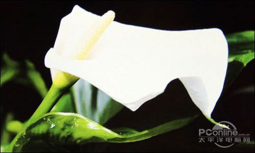 PConline2009年度評測