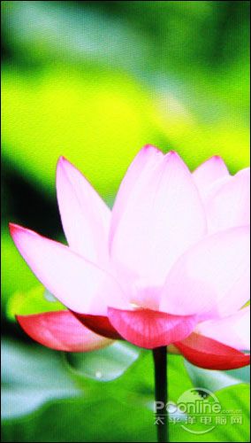 PConline2009年度評測