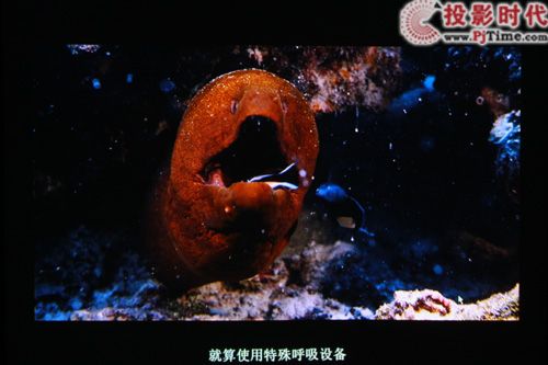 給力來襲 ASK C2220商教投影機全球首測_熱門電視劇投影看