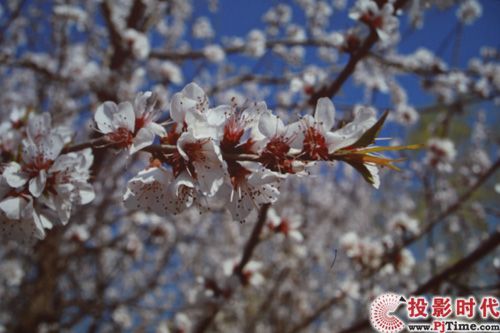 小尺寸大世界 宏碁U5200超短焦投影首測_無PC演示與文檔測試