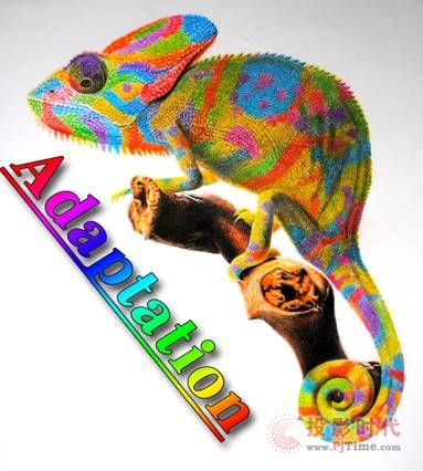 ֲʽD̎δl(f)չڅ