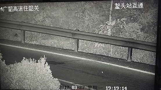 諾龍激光夜視攝像機，品質鑄就非凡