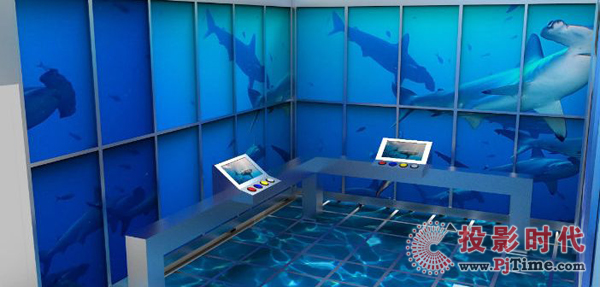 迪拜水族館聯(lián)手探索頻道打造數(shù)字鯊魚展