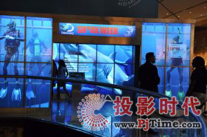 迪拜水族館聯(lián)手探索頻道打造數(shù)字鯊魚展
