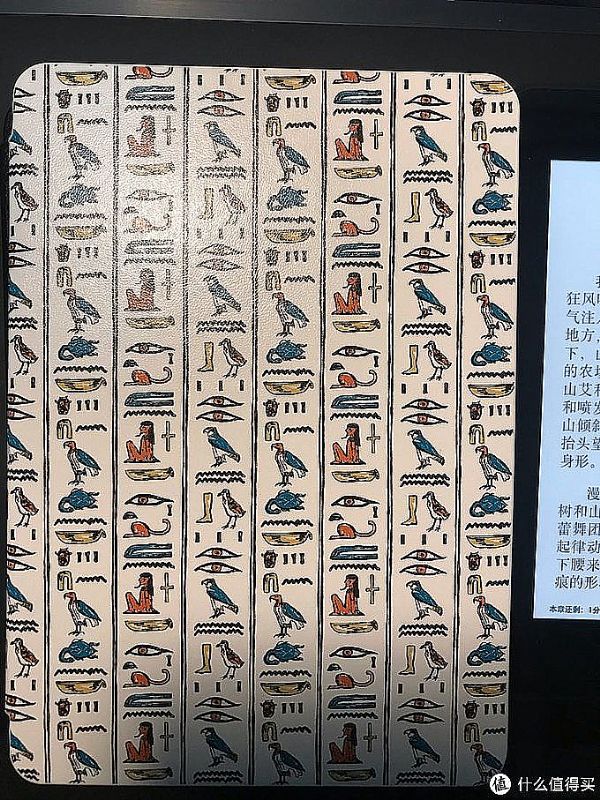 10臺(tái)不同型號(hào)kindle的體驗(yàn) - 教你怎么選購(gòu)合適的泡面蓋 電子墨水閱讀器 第15張