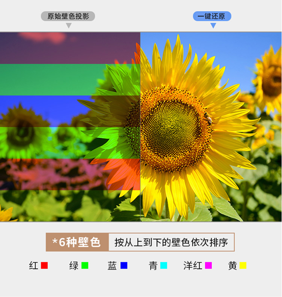 優化產品矩陣 NEC多款投影機升級上市