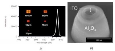 נ_l(f)ȫMicro LEDg