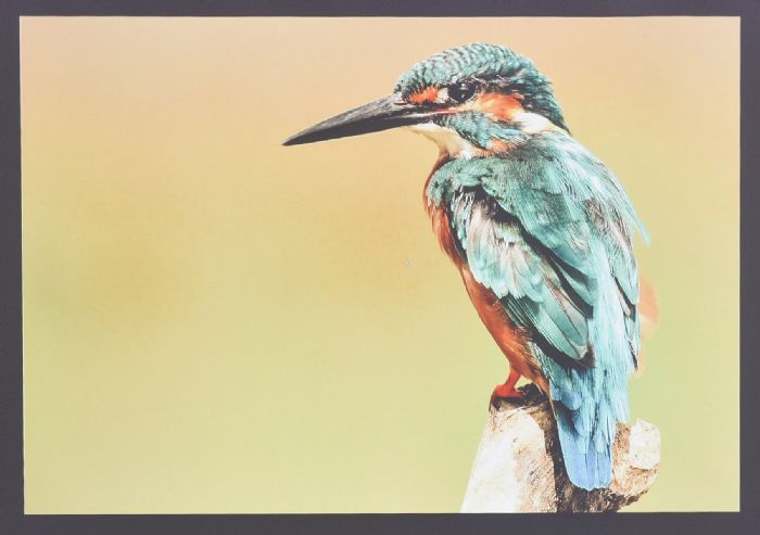 2021_zӰ AʡͶӰxffʡ_4000WUXGAֱʣ@ʾЧٝ