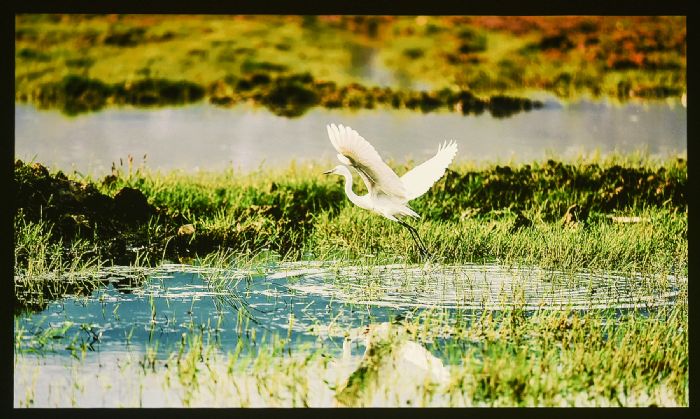 2021_zӰ AʡͶӰxffʡ_4000WUXGAֱʣ@ʾЧٝ