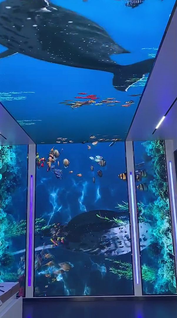 身臨其境 | 海佳彩亮沉浸式+交互展廳解決方案