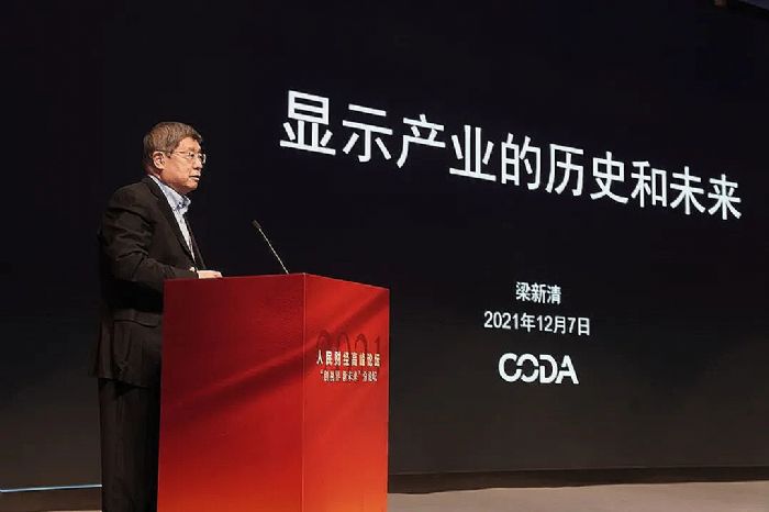 最新觀點丨中國顯示技術(shù)將如何發(fā)展？行業(yè)專家共話顯示產(chǎn)業(yè)發(fā)展機遇與責(zé)任擔(dān)當(dāng)  DIC顯視界 電子墨水 電子紙 電子墨水屏 EINK 墨水屏 eink 水墨屏 合肥新站高新區(qū)管委會 2021人民財經(jīng)高峰論壇“創(chuàng)視界 新未來” 中國光學(xué)光電子行業(yè)協(xié)會液晶分會 第2張
