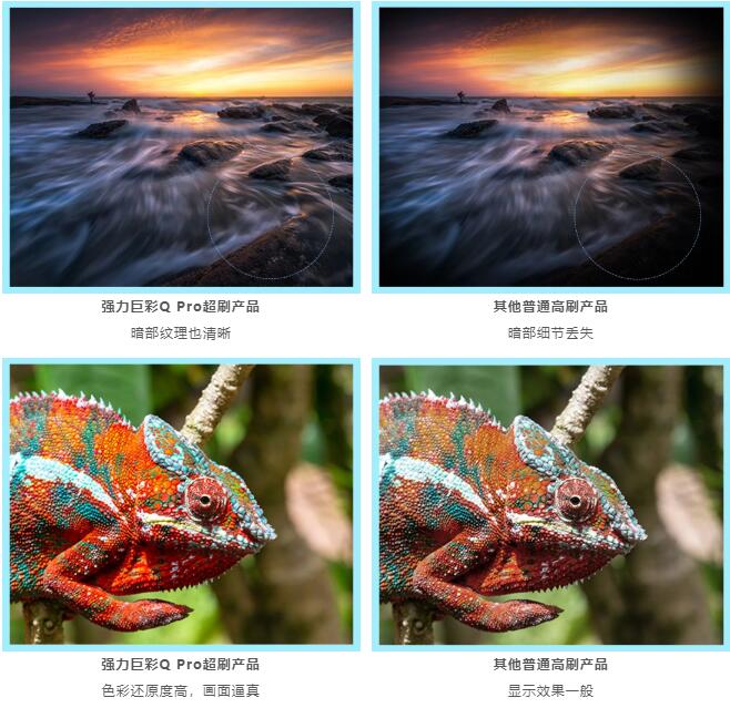 W(wng)j(lu)ֱx(qing)޲Q Pro