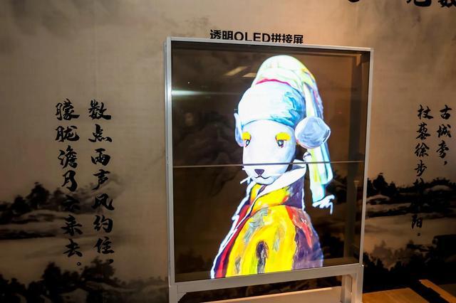 第九屆博博會開啟，透明OLED掀起文博數(shù)字展示新潮流
