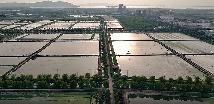 海康威視聯合捷安科技，在太湖守護“數字大閘蟹”的生長