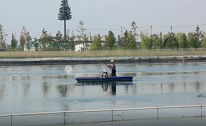 海康威視聯合捷安科技，在太湖守護“數字大閘蟹”的生長
