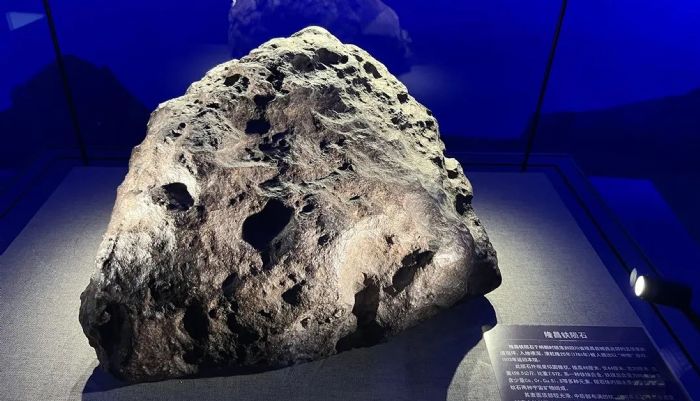 金大陸作品 | 成都自然博物館，成都理工大學博物館