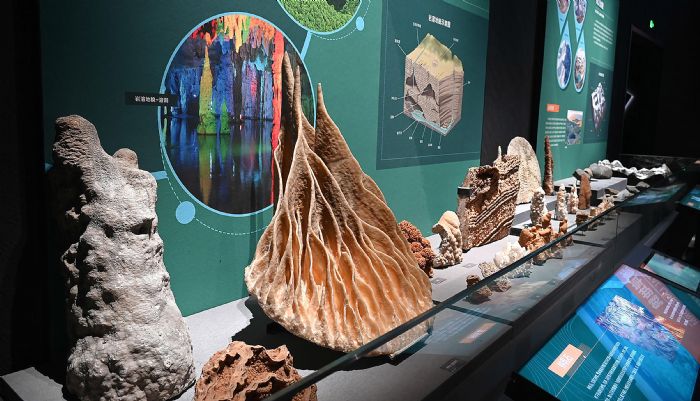 金大陸作品 | 成都自然博物館，成都理工大學博物館