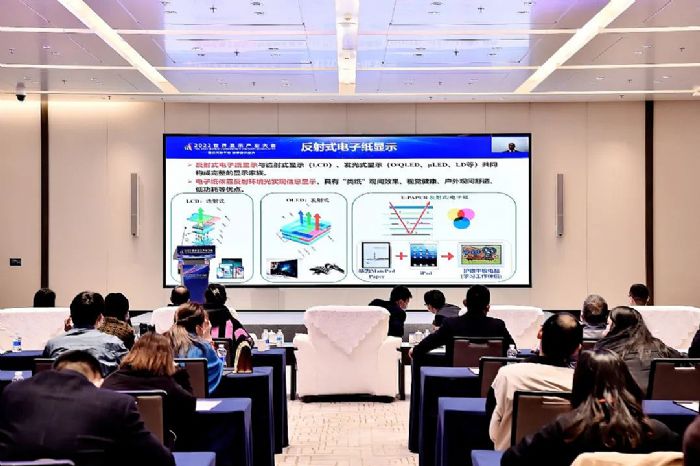 2022世界顯示產業(yè)大會 彩色電子紙獲得創(chuàng)新成果優(yōu)秀獎