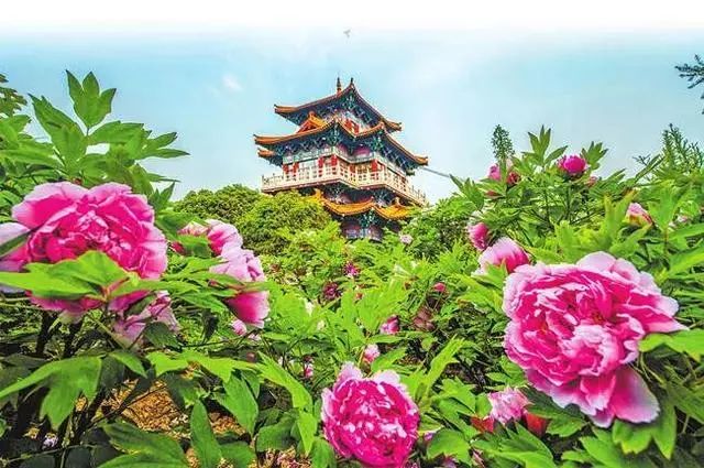 【科耳】KOER品牌入駐河南省洛陽市智慧金融服務中心，打造整體智慧擴聲生態
