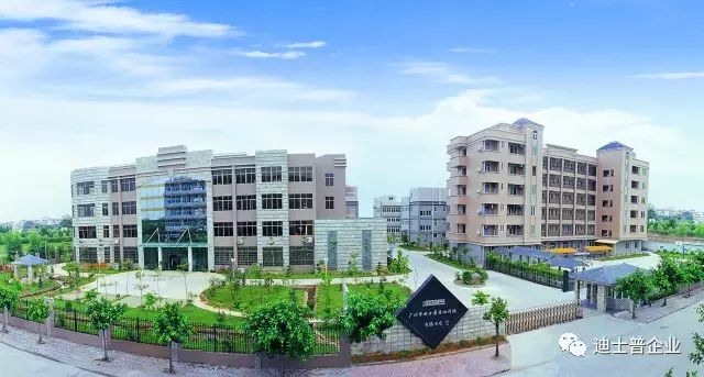 迪士普助力河南省鶴壁市外國語中學設多元化校園