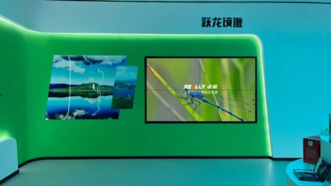 展廳案例丨Really銳麗大屏幕帶你探秘某科技公司3大數(shù)字展廳的精彩紛呈