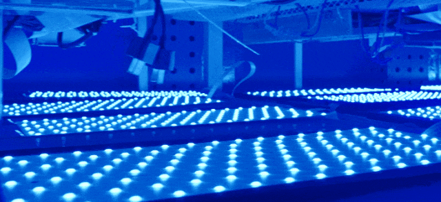 (gu)ǹMini LED⡰܇