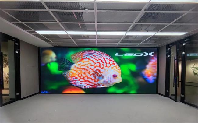 LEOX建業顯仕 | 江西贛州文化館LED顯示屏項目