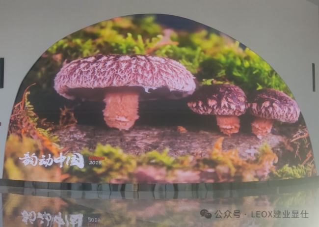 LED異形屏展示 | 江蘇儀征市龍山新城案例