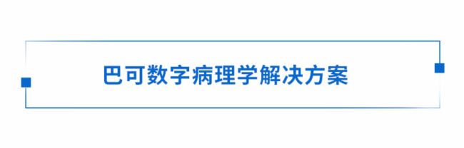 白皮書丨解讀色彩在現代病理學中的應用