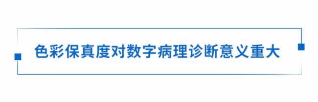 白皮書丨解讀色彩在現代病理學中的應用