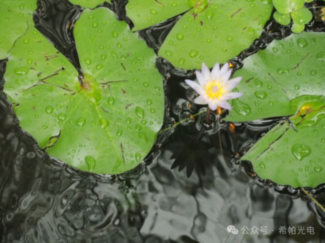 Sipa激光投影走進馬六甲百年校史館