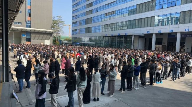 洲明集團(tuán)2025開工大吉 三大園區(qū)共啟新程！