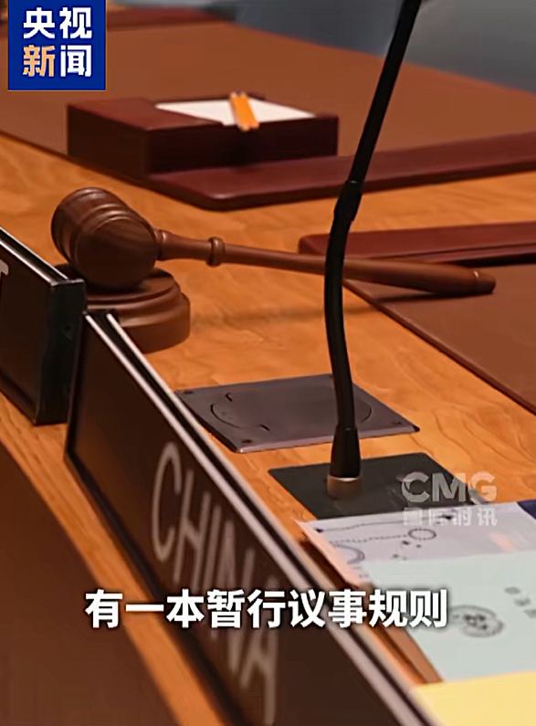 探訪聯合國安理會：TAIDEN如何推動國際事務高效進行