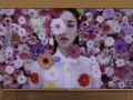 夏普LCD-80XU35A 8K圖賞